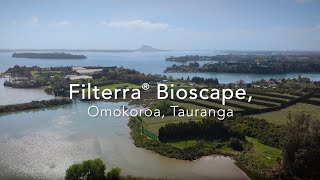Ōmokoroa Filterra® Bioscape