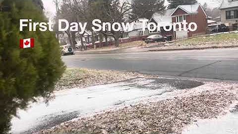 Winter Wonderland Unveiled: First Day of Snow in Toronto, Canada! ❄️🇨🇦