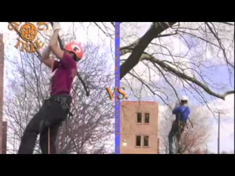 ツリークライミング　Singing Tree Rope Wrench