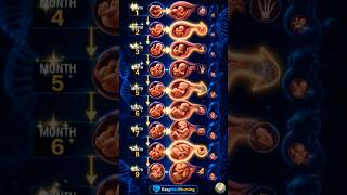 Fetal development month by month . #Shorts #Ytshorts #Medical #Viral #Ai #fetus #Obg #pregnancy