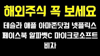 해외주식 이렇게 하신 주주님들 꼭 보세요 테슬라 애플 아마존닷컴 넷플릭스 페이스북 알파벳C 마이크로소프트 비자 screenshot 4
