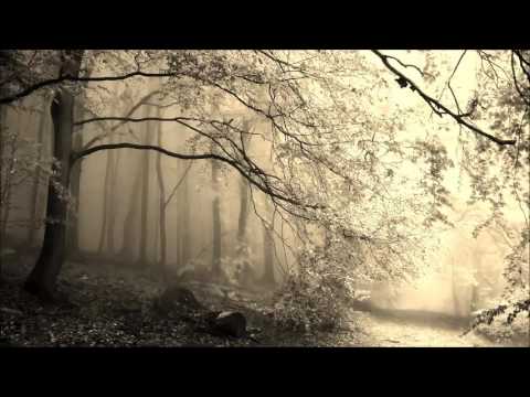 Nicolas Rada — Federico Monachesi: Steaming Forests (Nicolas Rada Remix)