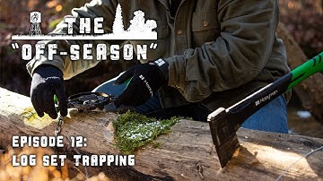 The "Off-Season" | S2 : E12 | Log Set Trapping