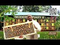 How to be a modern beekeeper from day 1 till harvest