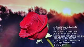 The Rose ローズBette Midler ベット ミドラー　　作詞 作曲Amanda McBroom