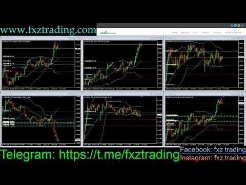 Forex chf eur live