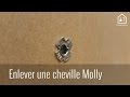 Astuce bricolage  comment extraire une cheville molly  bricolage facile