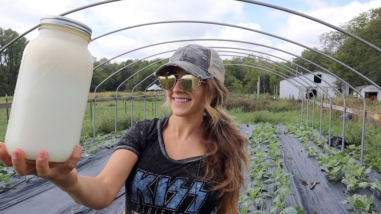 Using Raw Milk As a Fertilizer!