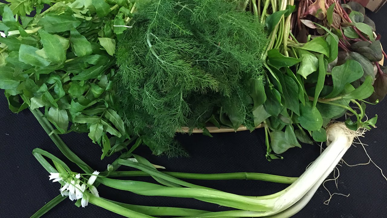 What's Hot in the Cooler - WILD SPRING INGREDIENTS - YouTube