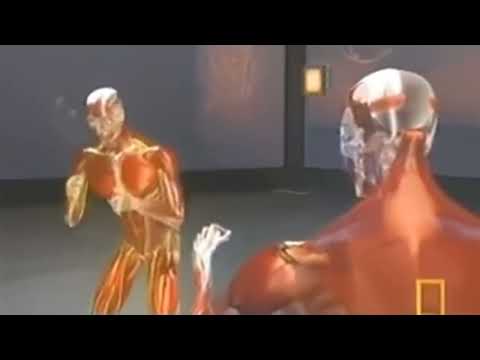 Devastation Discord Meme Recreation