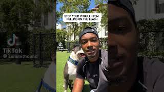 How to #train #dog #pitbulls #puppy #video compilation pt. 2  #tips for #trainers  #life