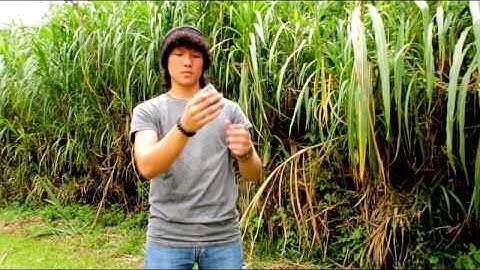 Divide and Conquer t 20170216 0453