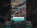 وضعت بيضها ثم حاصرها الجزر.. فهل ينقذها المدّ؟