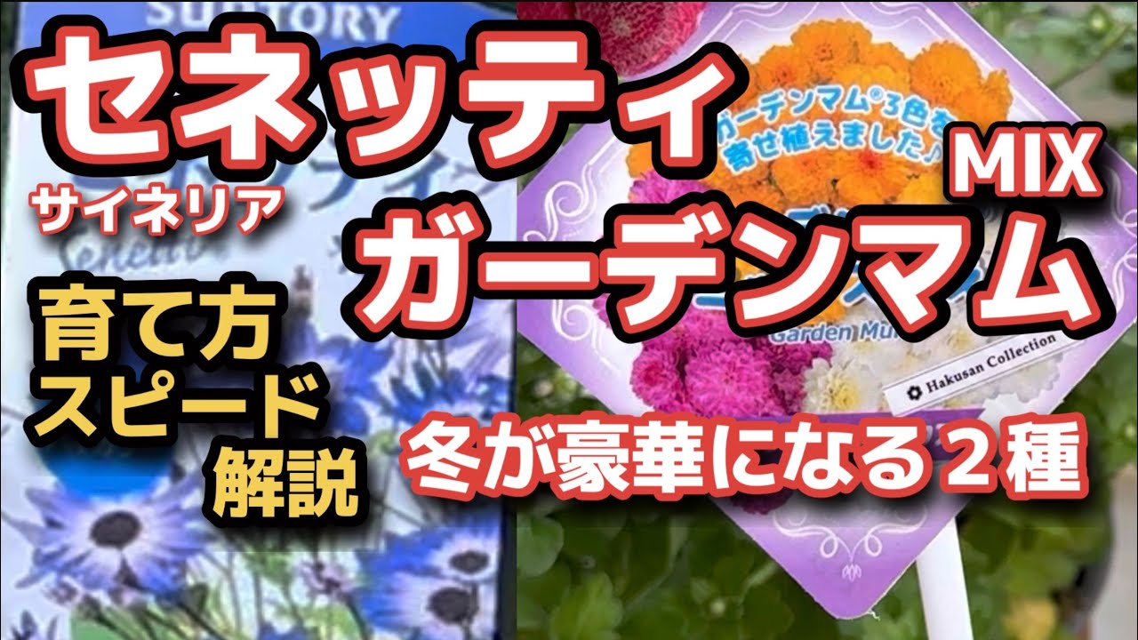 ガーデニングママ 2mvetro 非常に良い】ガーデニングママ 2mvetro 【公式通販】
