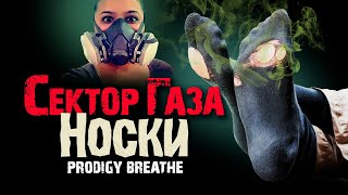 Сектор Газа - Носки (новая версия): cover by Частный сектор на The Prodigy Breathe #сектор_газа