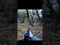 Охота на кабана ночью | Тихий и смертельный выстрел#hunting #wildlife