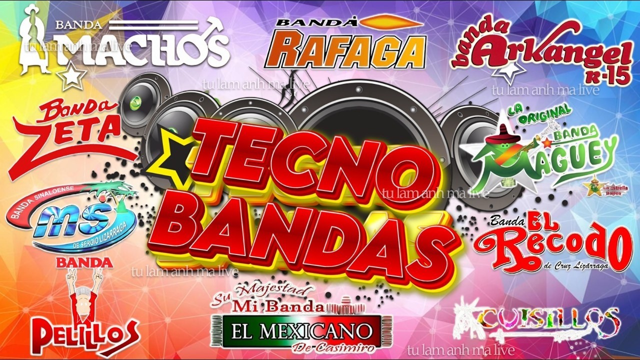 MIX QUEBRADITA 90'S INOLVIDABLES 🔥 Banda Machos,El Mexicano,Toro,Zeta,M1,cuisillos,Maguey...Y Mas#29