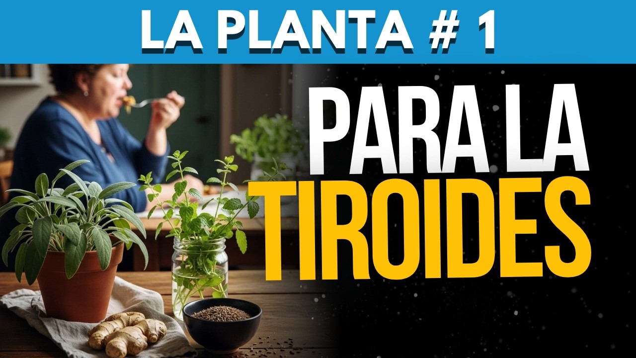 PLANTA #1 que MEJORA tu TIROIDES (COMO TOMARLA)
