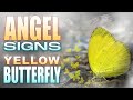 The Beautiful Meaning of a Yellow Butterfly [Symbolism and Spiritual Meaning]