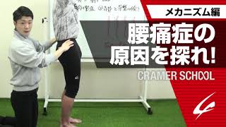 腰痛症の原因を探れ！腰痛症メカニズム編【CRAMER SCHOOL