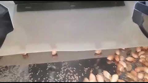 groundnut sorting- T20 mark sorter