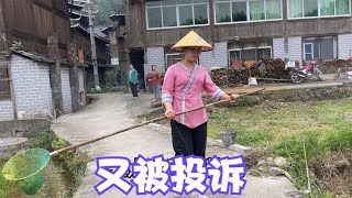 娜姐和雨锅吵架影响年轻人的婚姻，鹅长大了天天搞破坏，都不省心