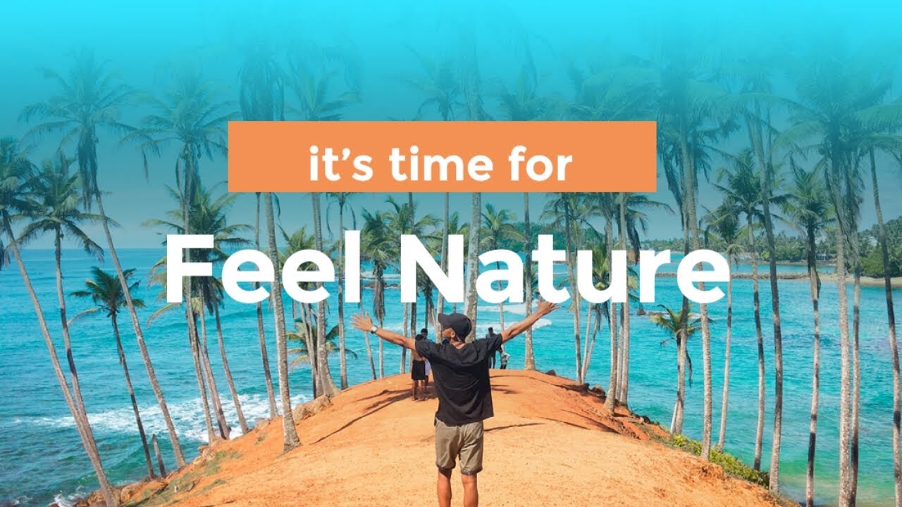  Lake Video Northwest Florida based lake it's time to feel nature √ YouTube