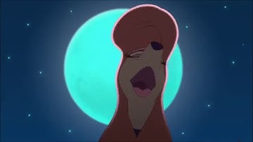 Animash-Midnight Summer Jam