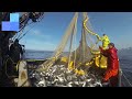 Catch hundreds of tons of fish with modern big boats || Great fishing in the sea