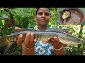 Viral fish kulambu recipes  murrel fish curry  river fresh viral meen kulambu