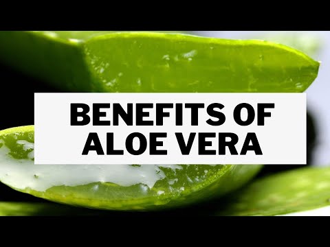 Health And Beauty Benefits Of Aloe Vera/Ghritkumari | Mishry Reviews