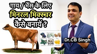 गाय भैंस के लिए mineral mixture कैसे बनायें ? | Dairy Ustaad | Dr CB Singh