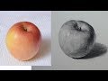 Dessin de base comment dessiner des fruits  pomme