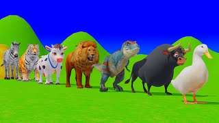 Long Slide Game with Tigers Lion Cow Hippopotamus Gorilla 3d Animal Game Funny 3d Animals screenshot 1