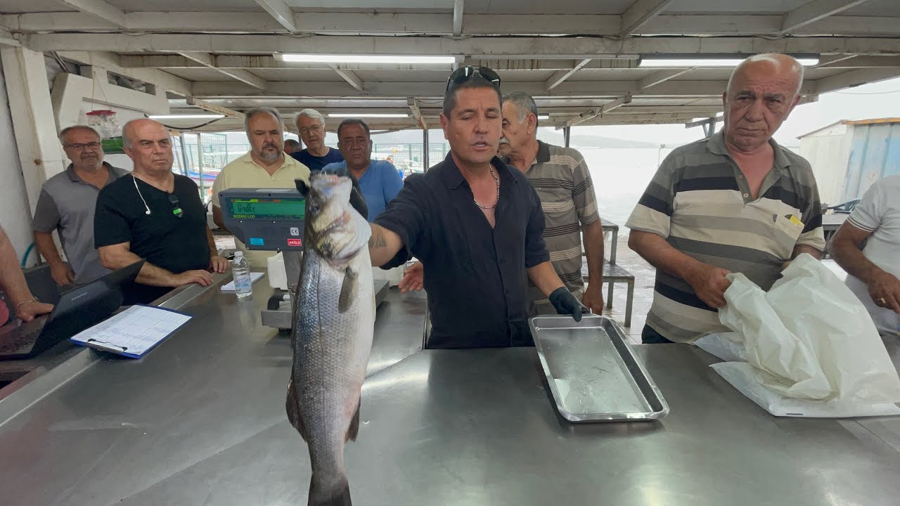 Lüfer kırdı geçirdi, Levrek benim bile hoşuma gitti 07.06.2024 #mezat #balık #balıkmezatı