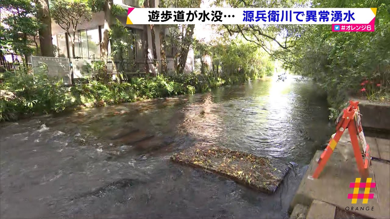 遊歩道が水没 源兵衛川で異常湧水 静岡県 Youtube