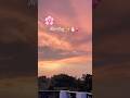 A day in my life #viralyoutubeshorts #minivlog #adayinmylife #view#nature #housewifelife #viralshort