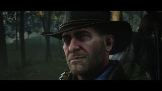 THANKYOU AND REST IN PEACE ARTHUR - Red Dead Redemption 2 Gameplay #24