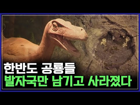한반도 공룡들 발자국만 남기고 사라졌다! | 다큐S프라임 [반복재생]/YTN 사이언스