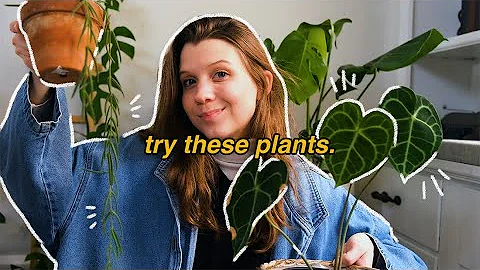 my easiest "rare" plants (relatively beginner-friendly!!)