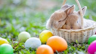 Easter events basket cost breakdown