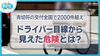 New Bicycle Traffic Ticket System: 