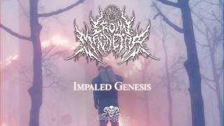 Crown Magnetar -  Impaled Genesis  (Official Visualizer)