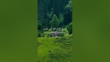 اكتب شيء تؤجر عليه 🫀🤍 #القرآن الكريم #تلاوة_خاشعة #ياسر_الدوسري