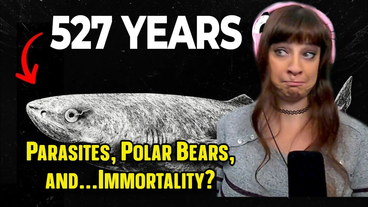 *ЧЕМ они питаются?!* В поведении гренландской акулы нет ничего нормального… Вот почему | За преде...