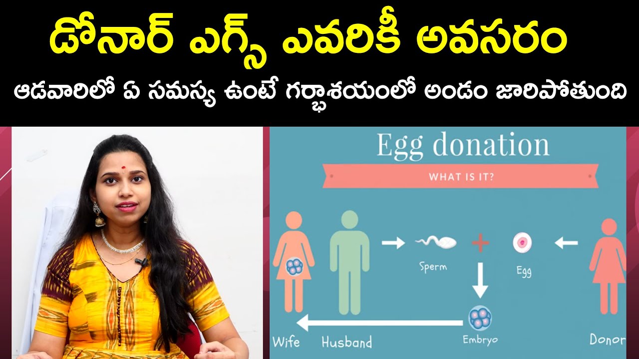 What Is Egg Donation | Who Needs An Egg Donor | Dr. Shruthi | Ferty9 Fertility Hospital