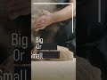कैटरिंग सर्विसेज - कैटरर्स - flipads