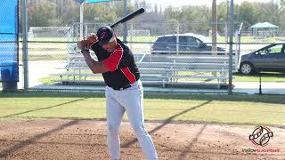 20150126 01 Destrade From Ear To Here