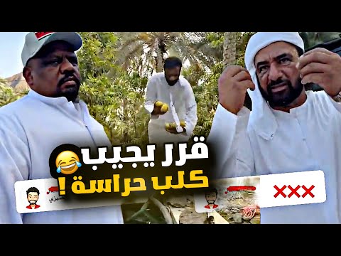 قرر يجيب كلب حراسة للمزرعة