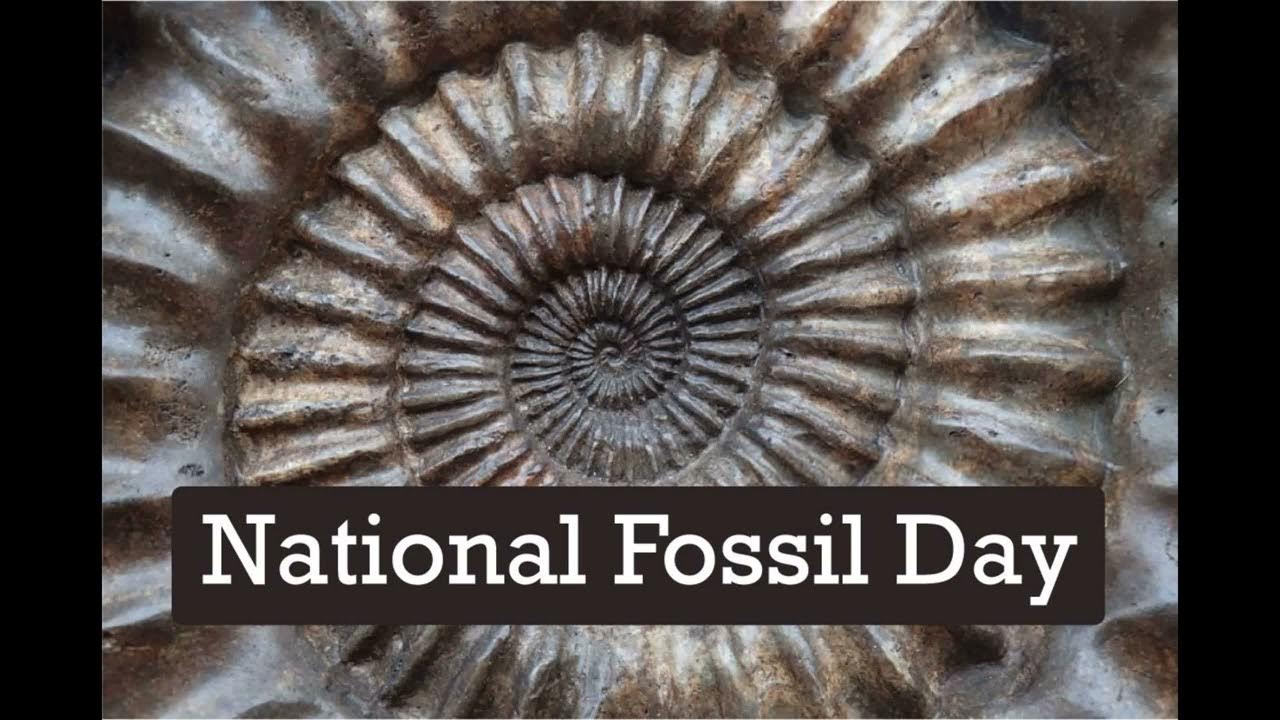 National Fossil Day 2024 YouTube